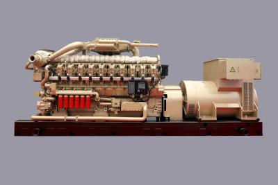 2000KW Doğalgaz Jeneratörü