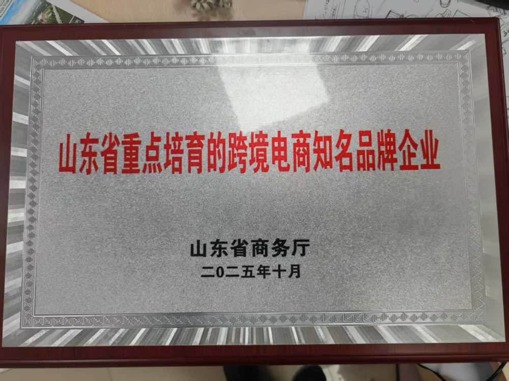 CNPC Jichai, "Shandong Eyaletinin Önemli, Gelişmiş, Sınır Ötesi E-Ticaret Alanında Ünlü Marka Girişimi" Ödülüne Layık Görüldü